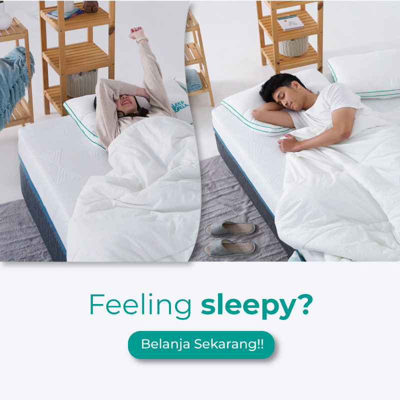 Belanja Sleepzilla Sekarang