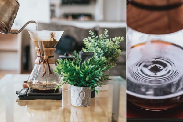 Kegiatan Musim Panas Tanaman