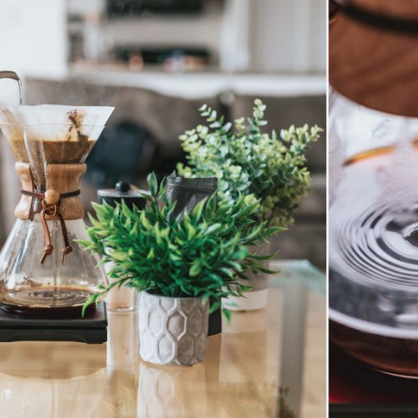 Kegiatan Musim Panas Tanaman