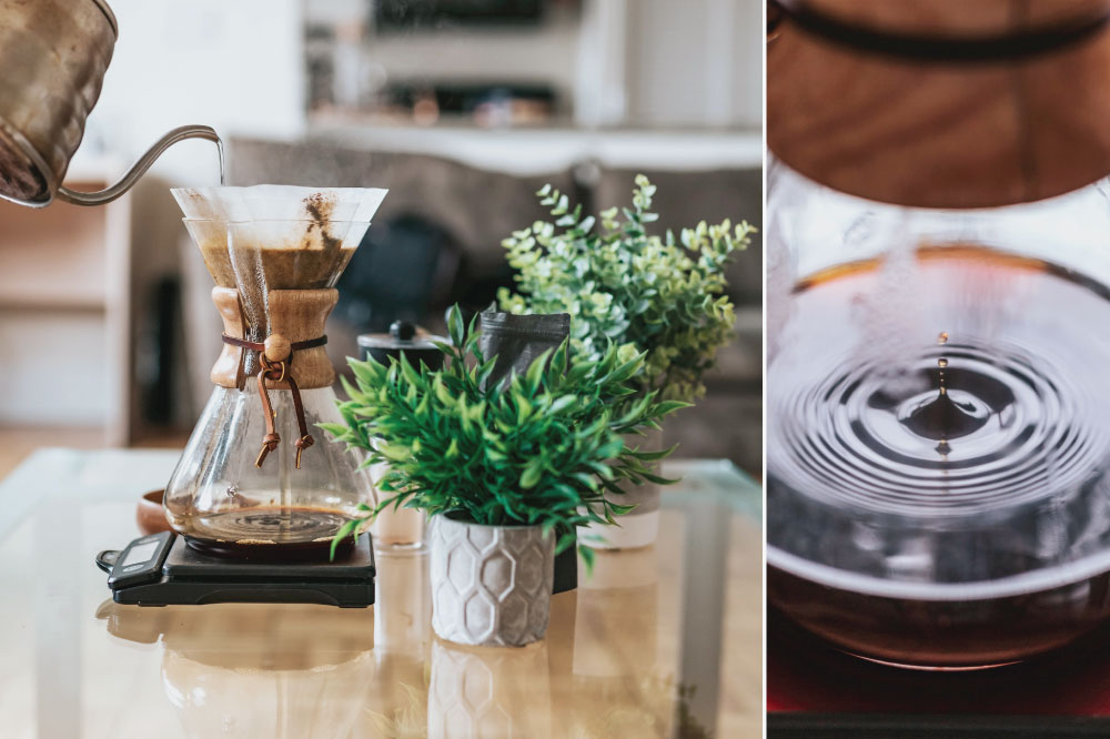 Kegiatan Musim Panas Tanaman